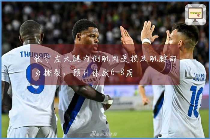 张宁左大腿内侧肌肉受损及肌腱部分撕裂，预计休战6-8周